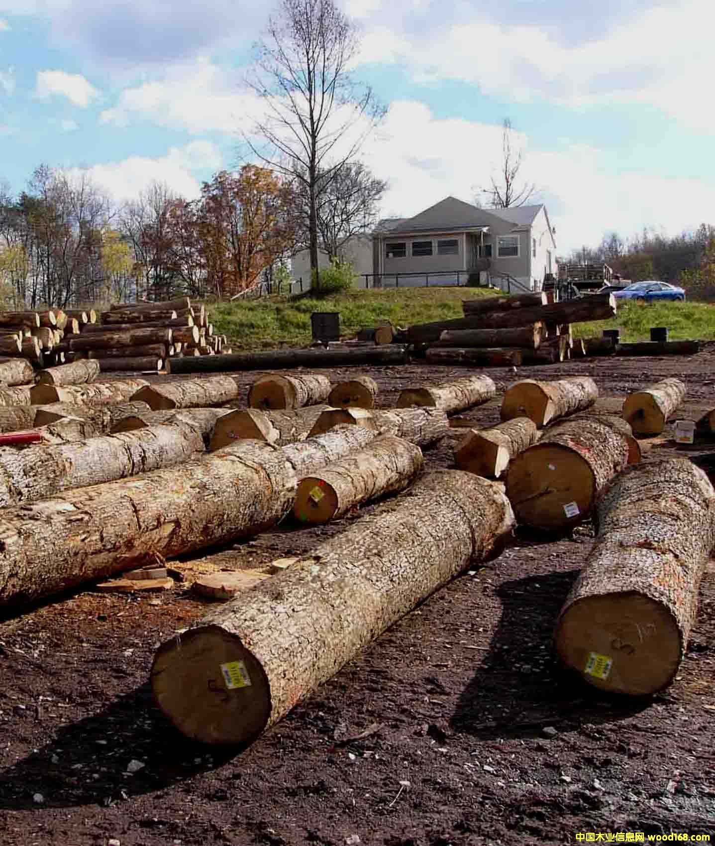 �����Ԕ��(x��)��B