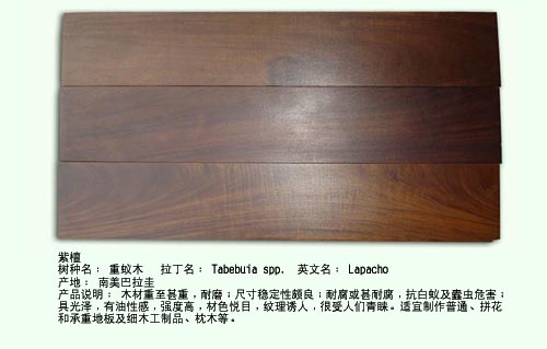 ��̴��Ԕ����B