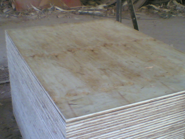 �������P�øߏ�(qi��ng)����о�z�ϰ�.���Ͱ��Ԕ��(x��)��B