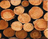 ݗ����ԭľ�D��Ԕ��(x��)��B