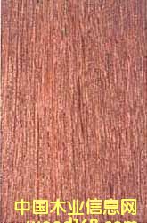 �ϓ��¡ľ��Ԕ��(x��)��B