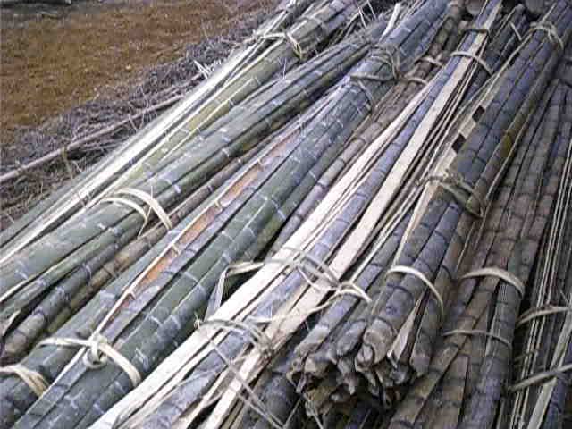 ��Ƭ��Ԕ����B