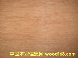 �U�P�ص�Ԕ��(x��)��B