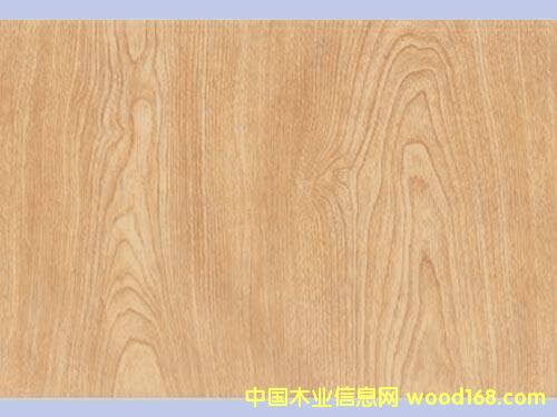 ��ľ���Ӱ��Ԕ����B