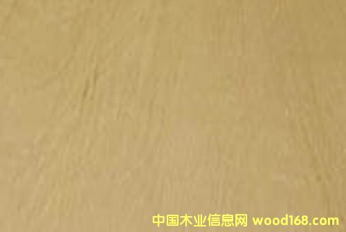 �����Ø�ľ���Ӱ��Ԕ����B