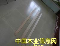 ���Ӱ�ֱ�l��Ԕ��(x��)��B