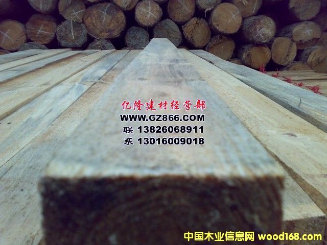 ��ľ��Ԕ����B