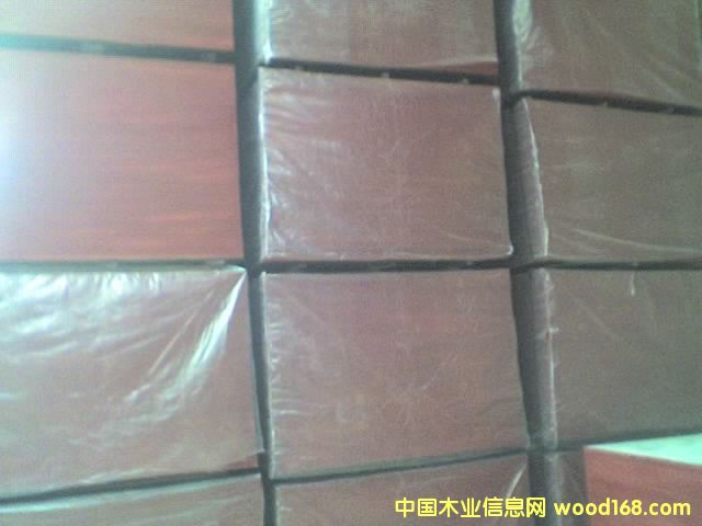 ����ģ���Ԕ����B