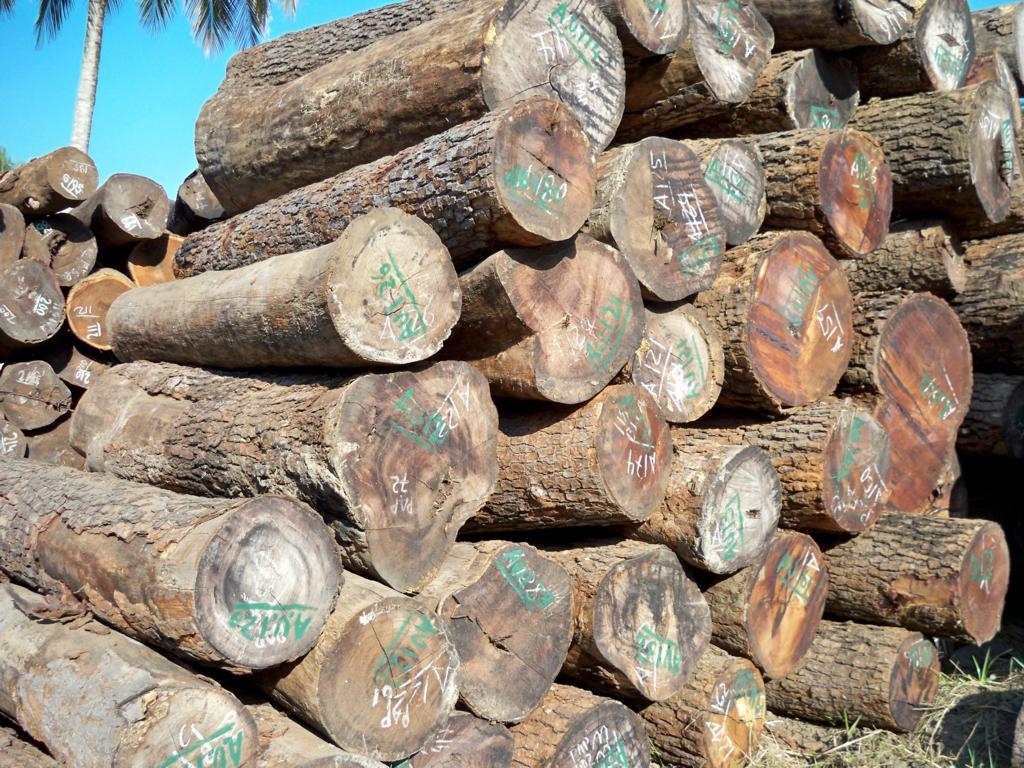 ���޻����Ԕ��(x��)��B