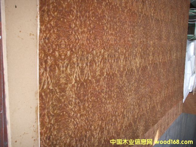 �����N����Ԕ��(x��)��B