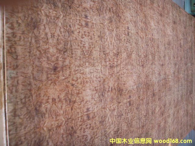 �����N����Ԕ��(x��)��B