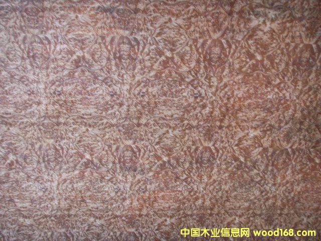 �����N���