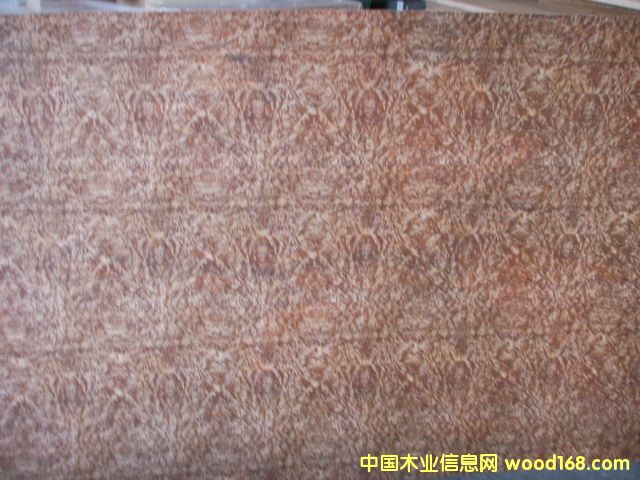 �����N����Ԕ��(x��)��B