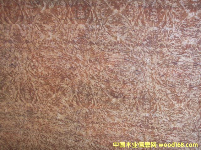 �����N����Ԕ��(x��)��B