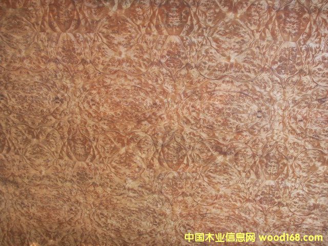 �����N����Ԕ��(x��)��B