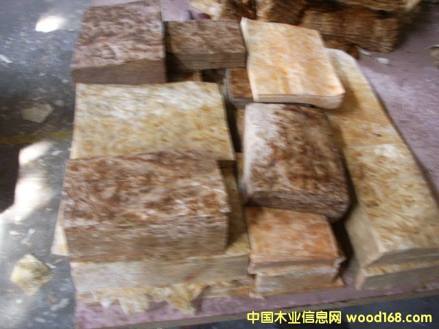 ɽ���������Ƥ��Ԕ��(x��)��B