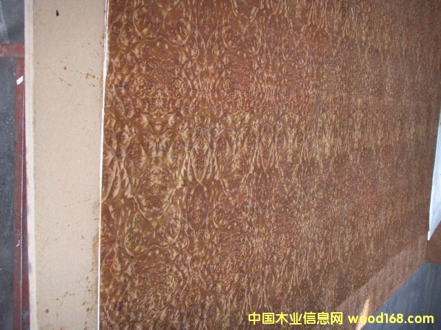 �����N����Ԕ��(x��)��B