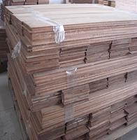 ɳ����(sapelli)