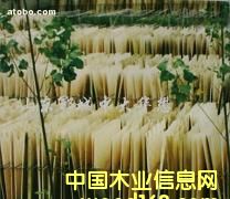 �п����o���ΰ��Ԕ��(x��)��B