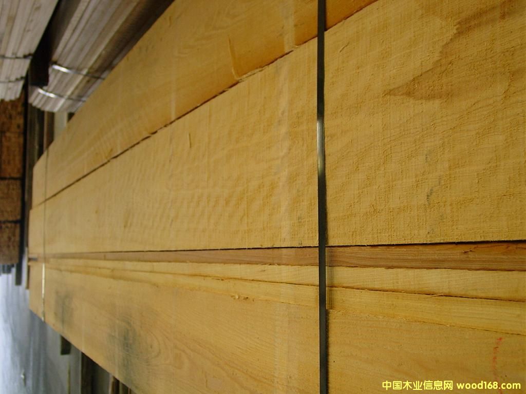 �t��FAS��Ԕ����B