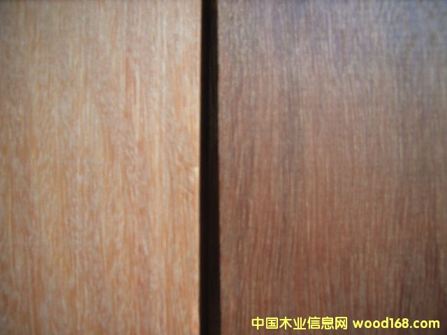 �Ĵ������tľ��JARRAH����Ԕ��(x��)��B