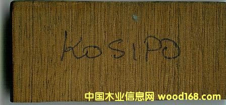 KASIPO��Ԕ��(x��)��B