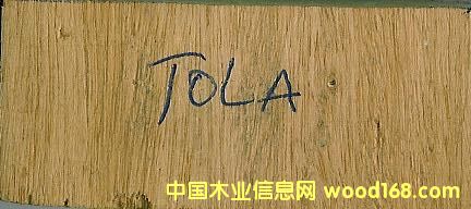 TOLA��Ԕ��(x��)��B