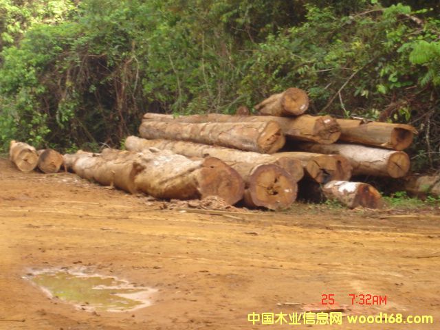 ����ᶹ��Ԕ��(x��)��B