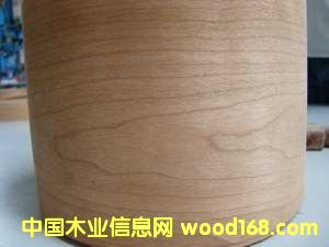 ���ҷ�߅�l��Ԕ����B