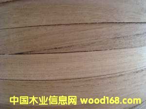 �ľ��߅�l��Ԕ����B