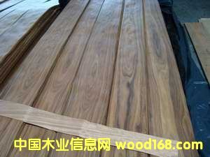 ��֦ľƤ��Ԕ����B