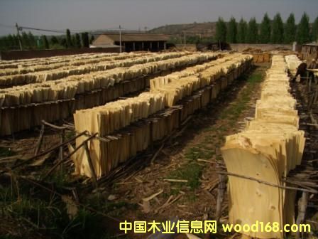 ��ľ�ΰ��Ԕ����B