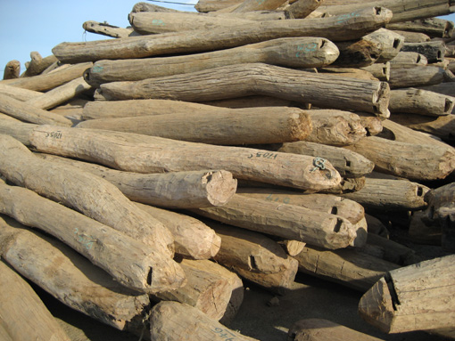 ����ľ��Ԕ��(x��)��B