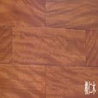 ����ľ��Ԕ����B