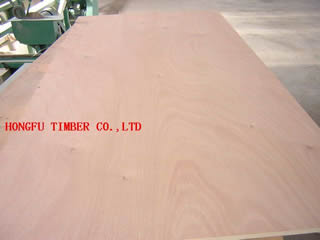 ��(x��)ľ�����Ԕ��(x��)��B