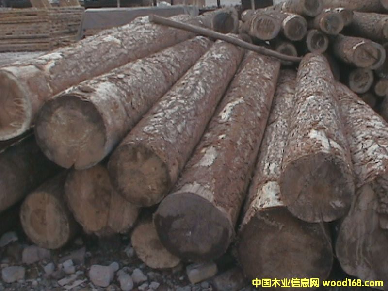 ľ�ĵ�Ԕ��(x��)��B