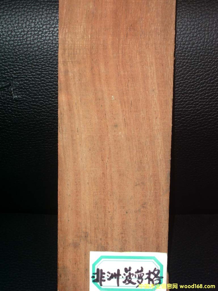 ���޲��}���Ԕ��(x��)��B