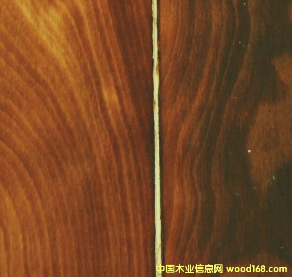 ̼����̴ɫ��ľ��Ԕ��(x��)��B