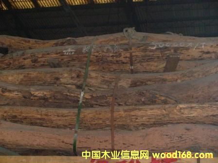 ����֦��Ԕ����B