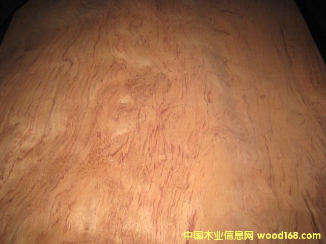 ���滨�y��Ԕ��(x��)��B