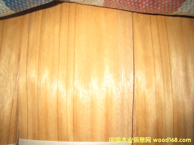 �Sõ���Ԕ��(x��)��B