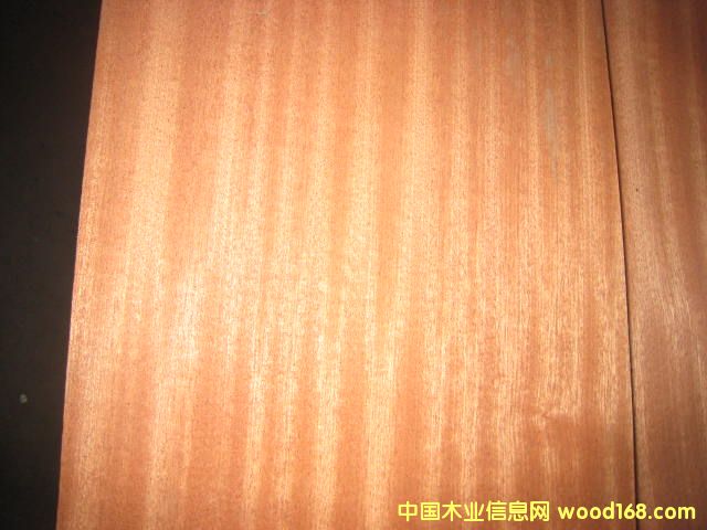 ɳ������Ԕ��(x��)��B