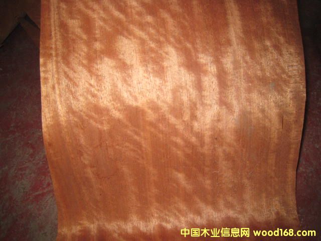 ��Ӱ��������Ԕ��(x��)��B