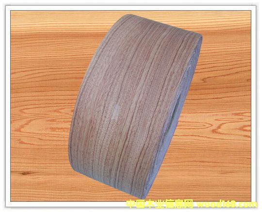 ����ľƤ��߅�l��Ԕ��(x��)��B