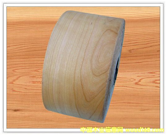 ����ľƤ��߅�l��Ԕ��(x��)��B