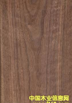 �ں���ľƤ��Ԕ��(x��)��B