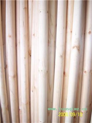 ������ľ�S��Ԕ��(x��)��B