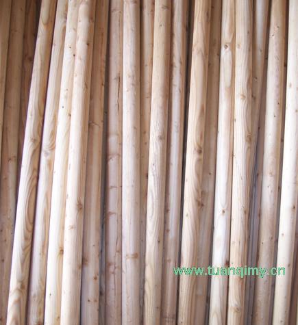 ���~��ľ�S��Ԕ��(x��)��B