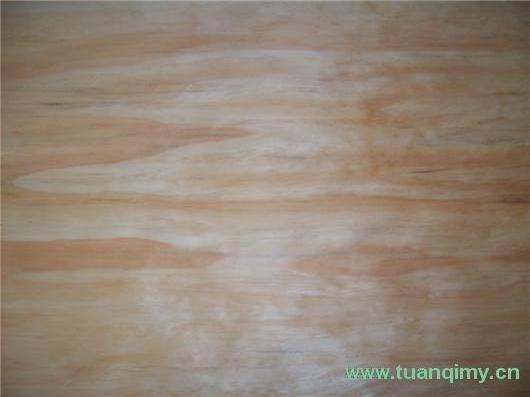 ݗ������Ƥ��Ԕ��(x��)��B