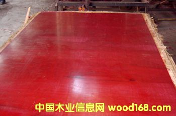 ���͸��ܶȏ�Ĥ���z�ϰ�(������;)��Ԕ����B